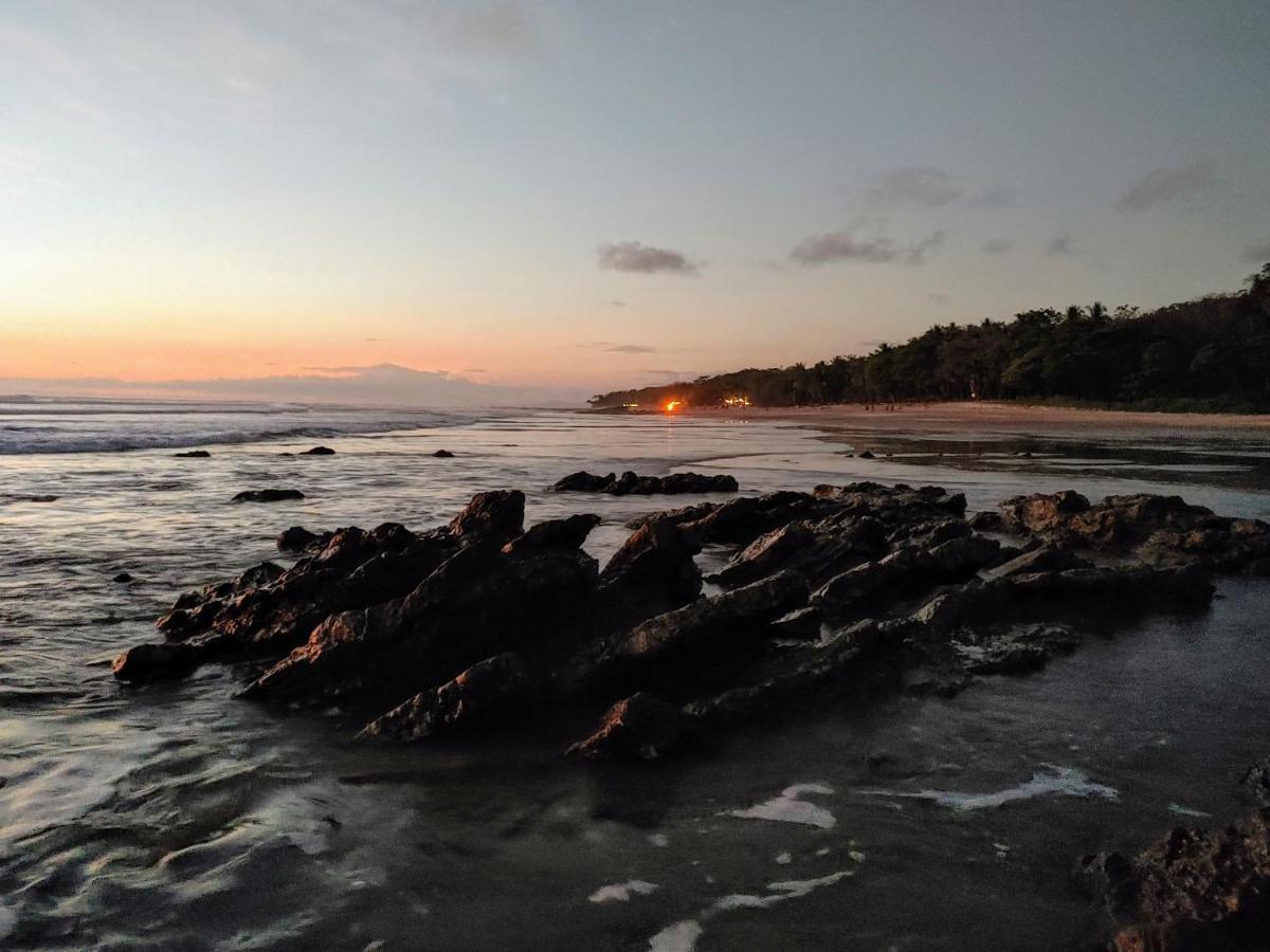 Armadillo Eco Bungalows - Santa Teresa Playa Santa Teresa  Экстерьер фото