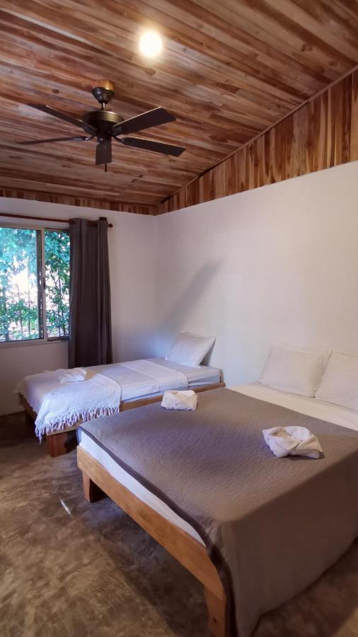 Armadillo Eco Bungalows - Santa Teresa Playa Santa Teresa  Экстерьер фото