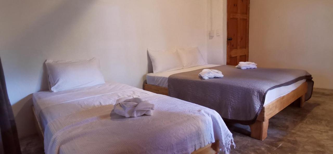 Armadillo Eco Bungalows - Santa Teresa Playa Santa Teresa  Экстерьер фото