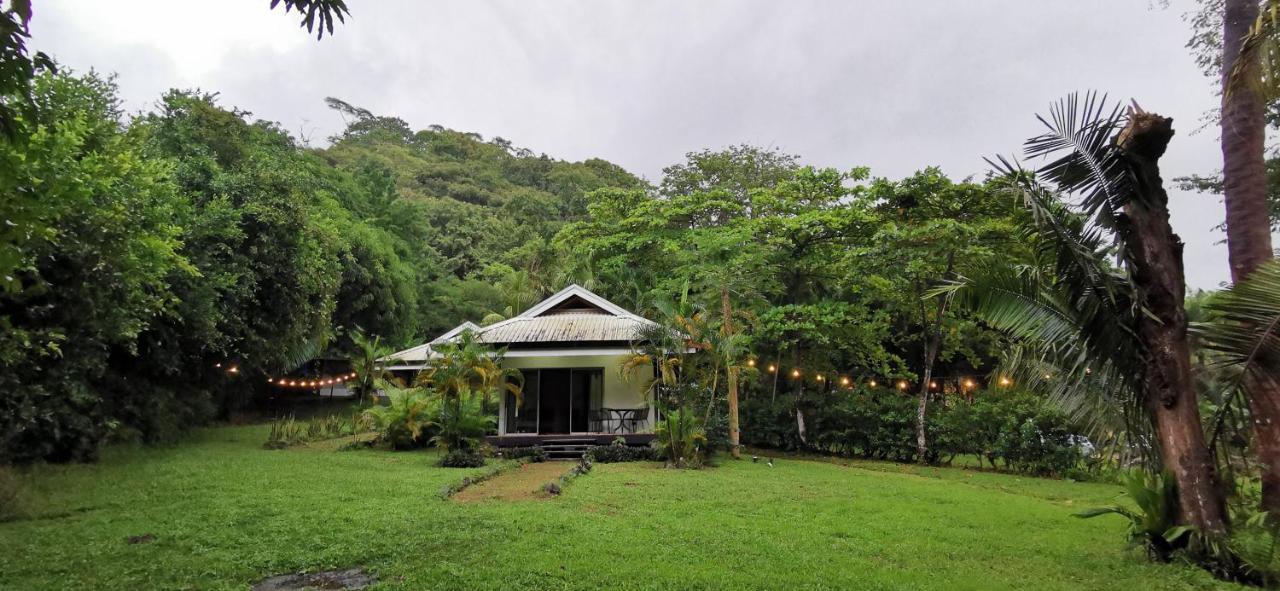 Armadillo Eco Bungalows - Santa Teresa Playa Santa Teresa  Экстерьер фото
