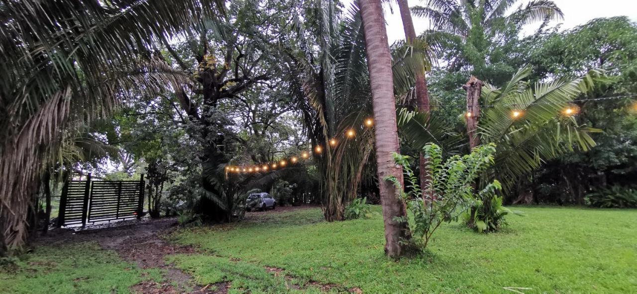 Armadillo Eco Bungalows - Santa Teresa Playa Santa Teresa  Экстерьер фото