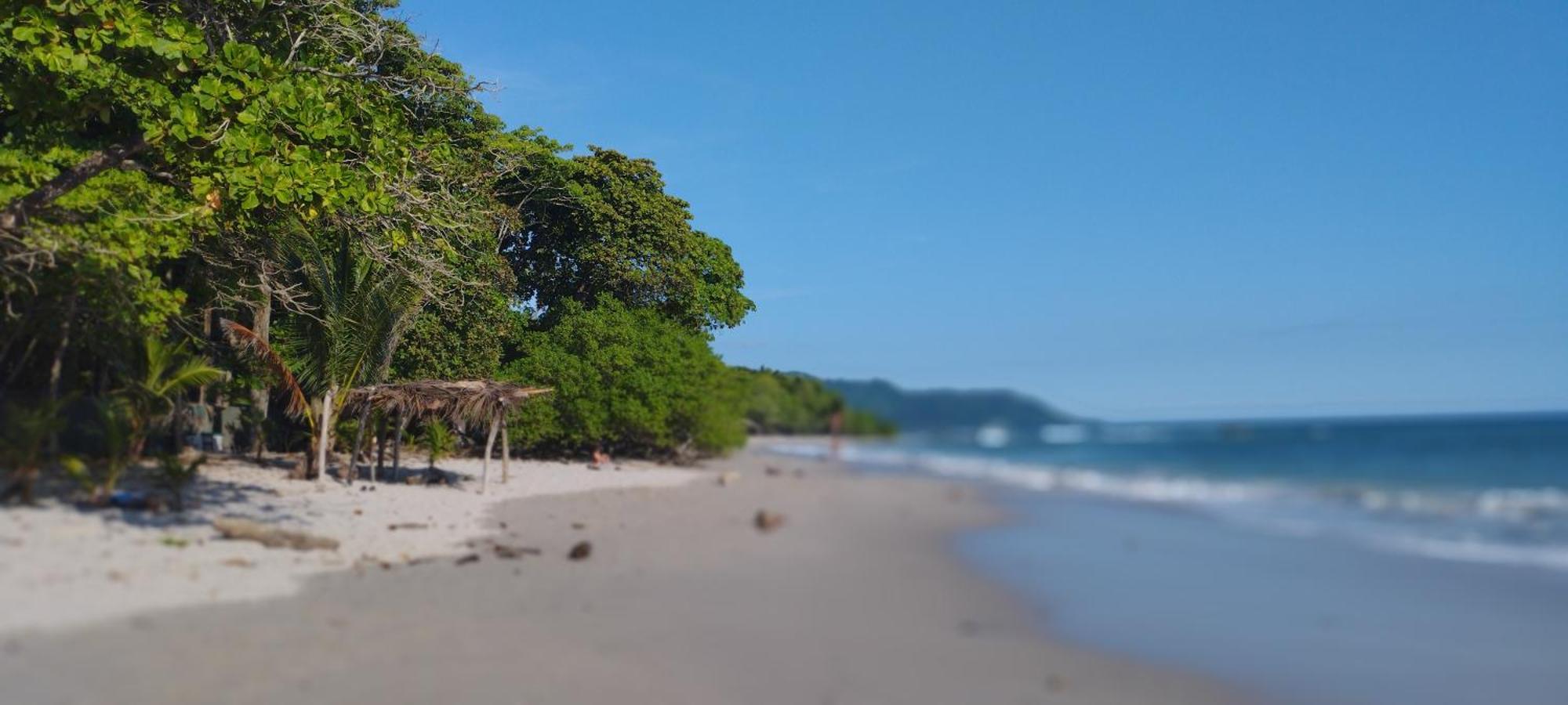 Armadillo Eco Bungalows - Santa Teresa Playa Santa Teresa  Экстерьер фото